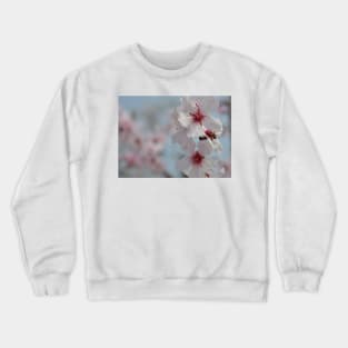 Bee in Almond Flower Crewneck Sweatshirt